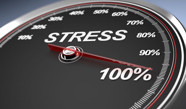 Stress 100%